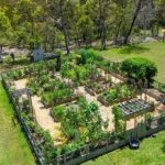 A fenced vegetable garden with raised beds and various green plants situated near a forest.