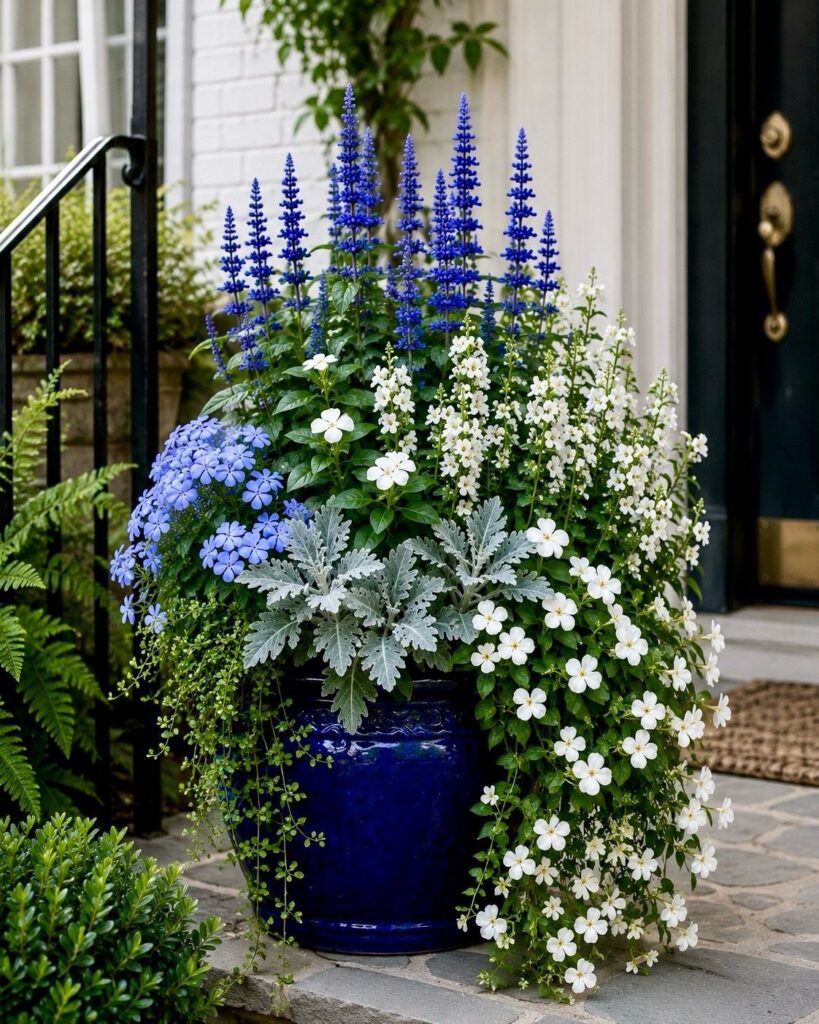 Blue and white flowers blooming in a large cobalt blue ceramic planter on a stone porch.