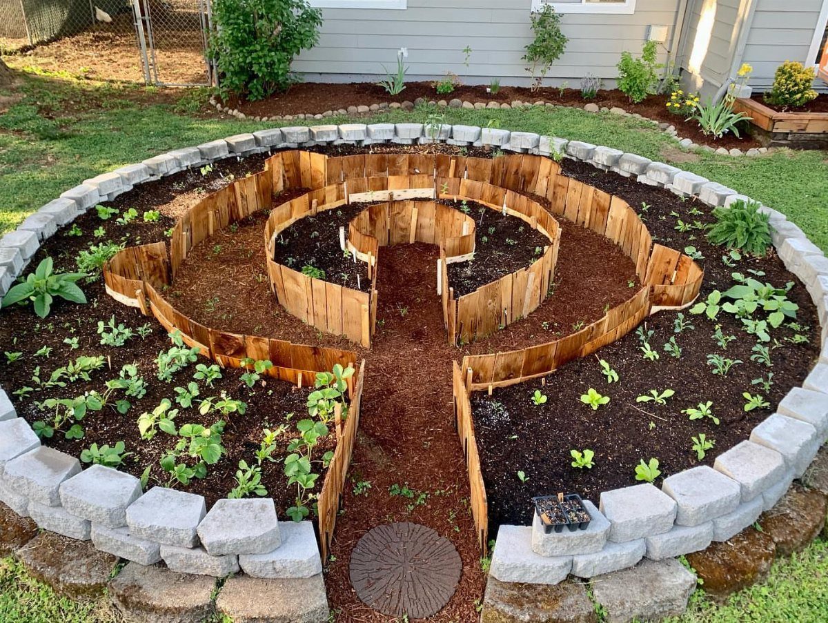 A circular keyhole garden bed with wooden dividers and small green plants in dark soil.