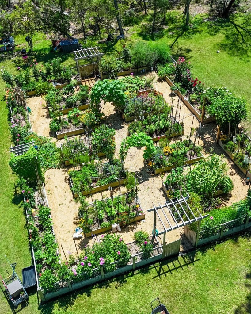 An aerial view of an organized potager garden with raised beds and green plants.